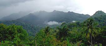 El Yunque Rainforest